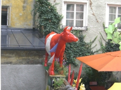 SA2008(47).JPG